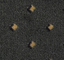 Ковролин Big Delhi 179 Delhi фото 1 | FLOORDEALER